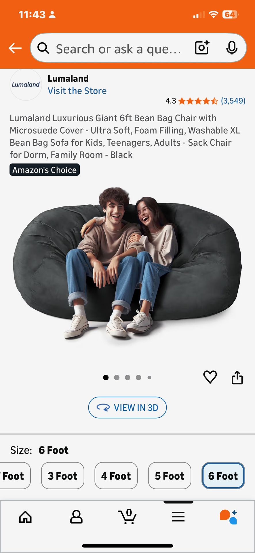 Beanbag Chair
