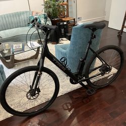 Trek Lowstep Verve II Bike