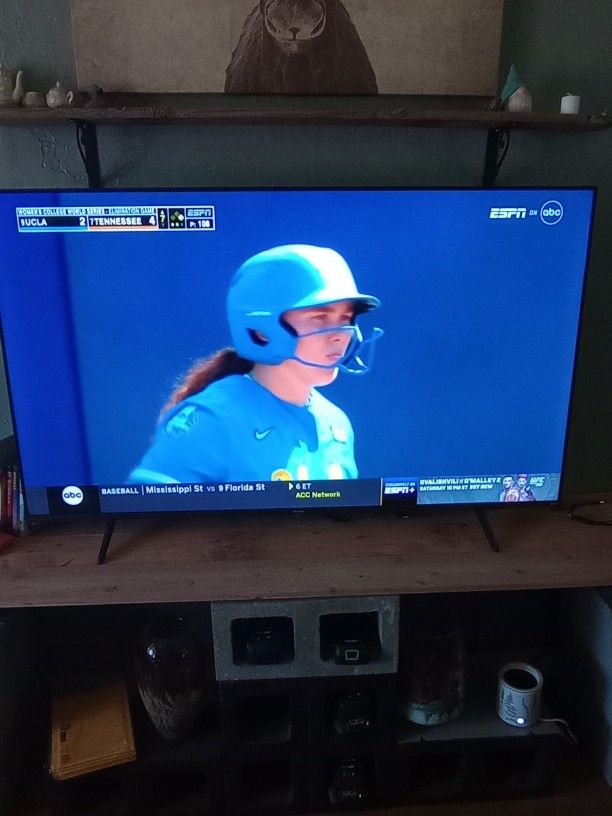 58in Roku Tv