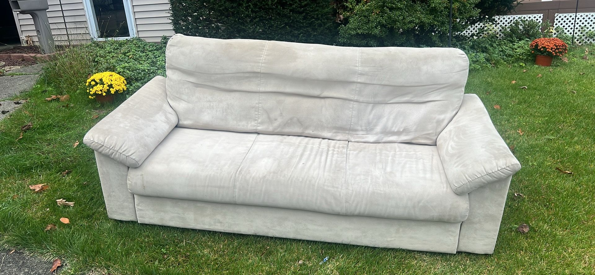 Comfortable Sofa Need Little Clean