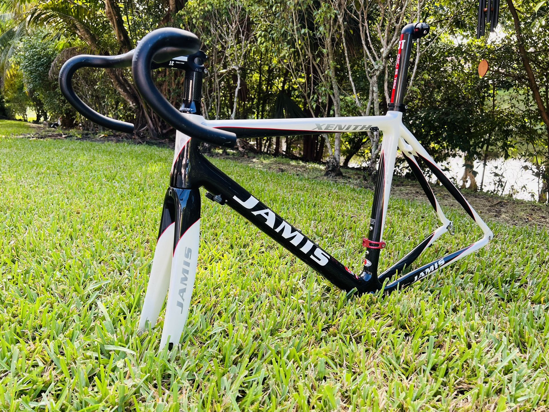 ROAD BIKE JAMIS CARBÓN FIBER FRAME SIZE 54 Large QR RIMS BRAKE