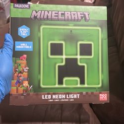 Minecraft LED NEON LIGHT