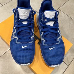 Nike Basketball Shoes LeBron James