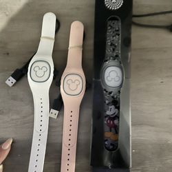 Disney Magic Bands