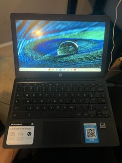 HP Chromebook