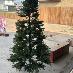 Christmas Tree 