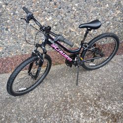 Schwinn Mt Bike