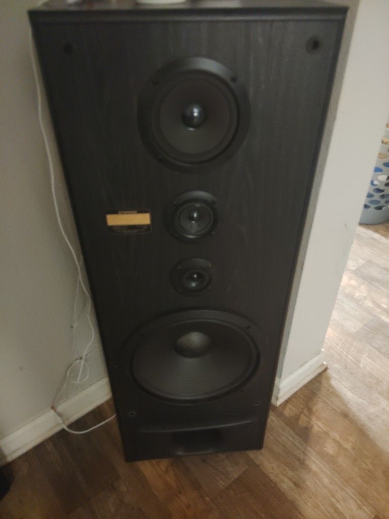 2 Panasonic 12 Inch Speakers 