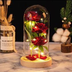 Valentine's Day Perfect gift 3 Preserved Roses In a Glass Dome 