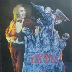 NEW BEETLEJUICE MOVIE PLUS EXTRAS