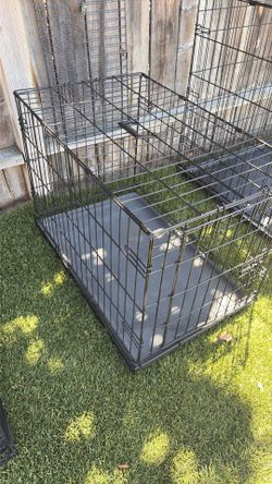 Dog Cage