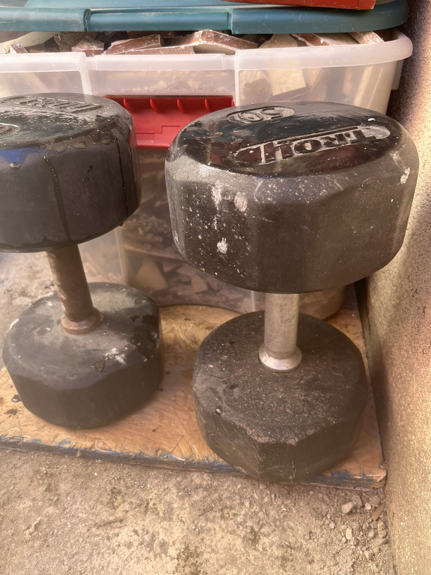 50- Dumbbells 