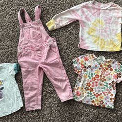 Toddler Girls Clothing Bundle Size 3T