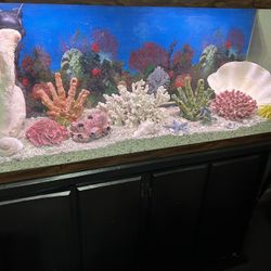 Aquarium 55gal
