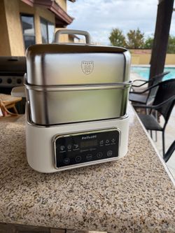 Electric Food Steamer 12.7 QT — Double Tier Stainless Steel