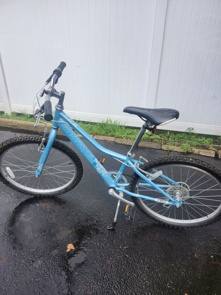 Giant Bicycle