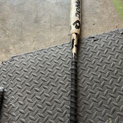 Dimarini softball bat 