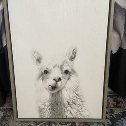 Llama 🦙 Portrait Picture