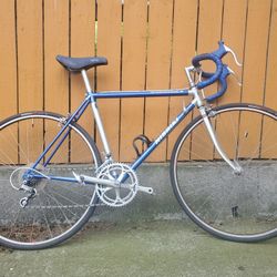 Nishiki 12-Speed Road Bike