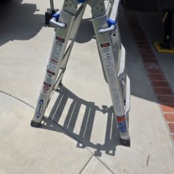 Warner 5 Position Extendable Ladder 