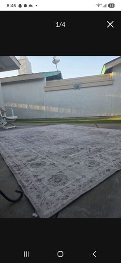 Carpet, 115×89