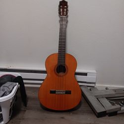 Guitar  Yamaha Needs Nylon Strings 