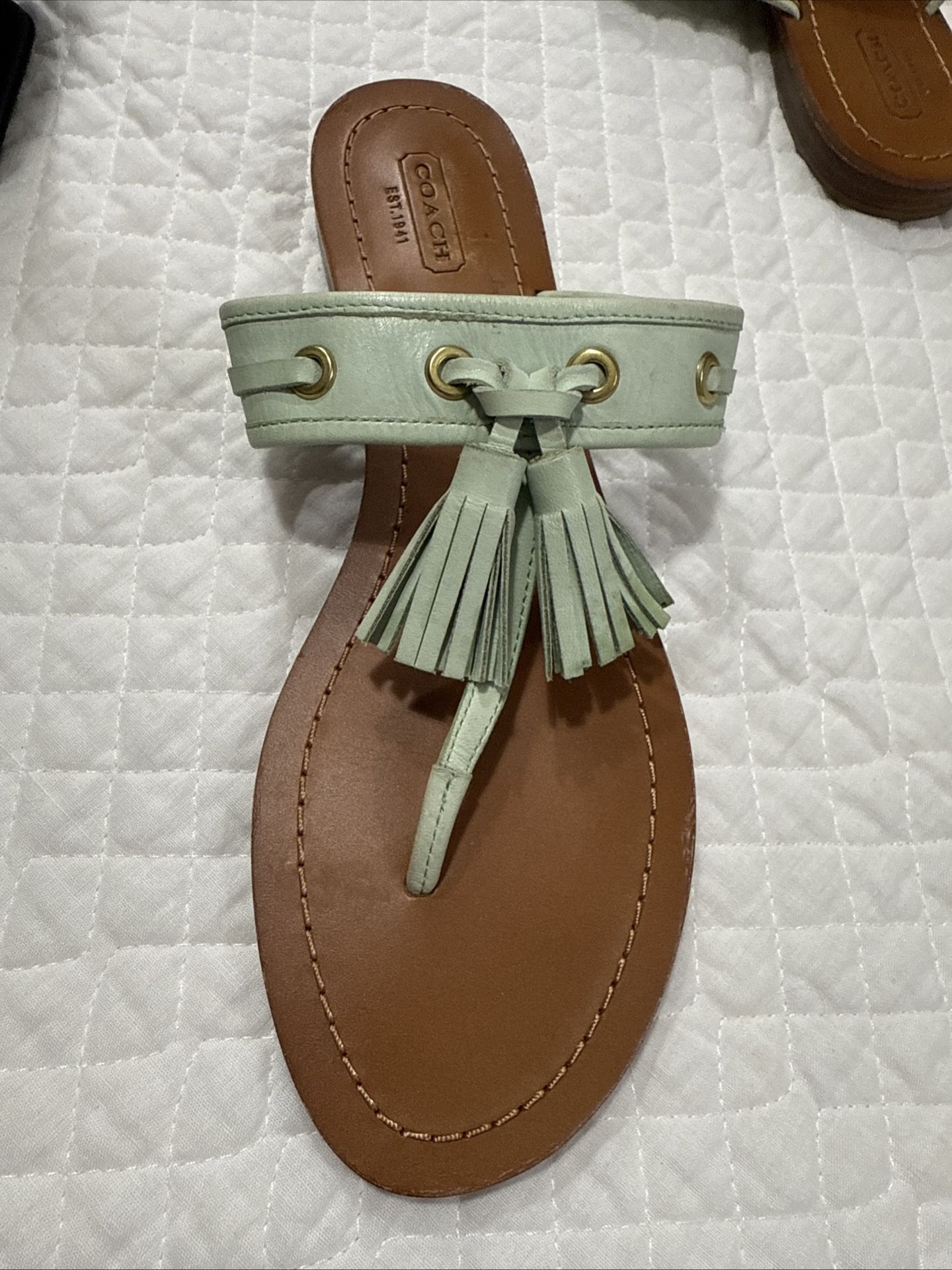 Coach Sheena Thong Fringed Sandals Light Green 9B