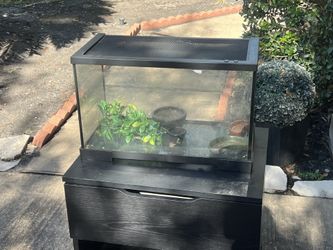 Glass terrarium for reptiles, dimensions 20 inches x 12 inches x 10 inches (10 gallons