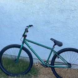 GT BMX 29in