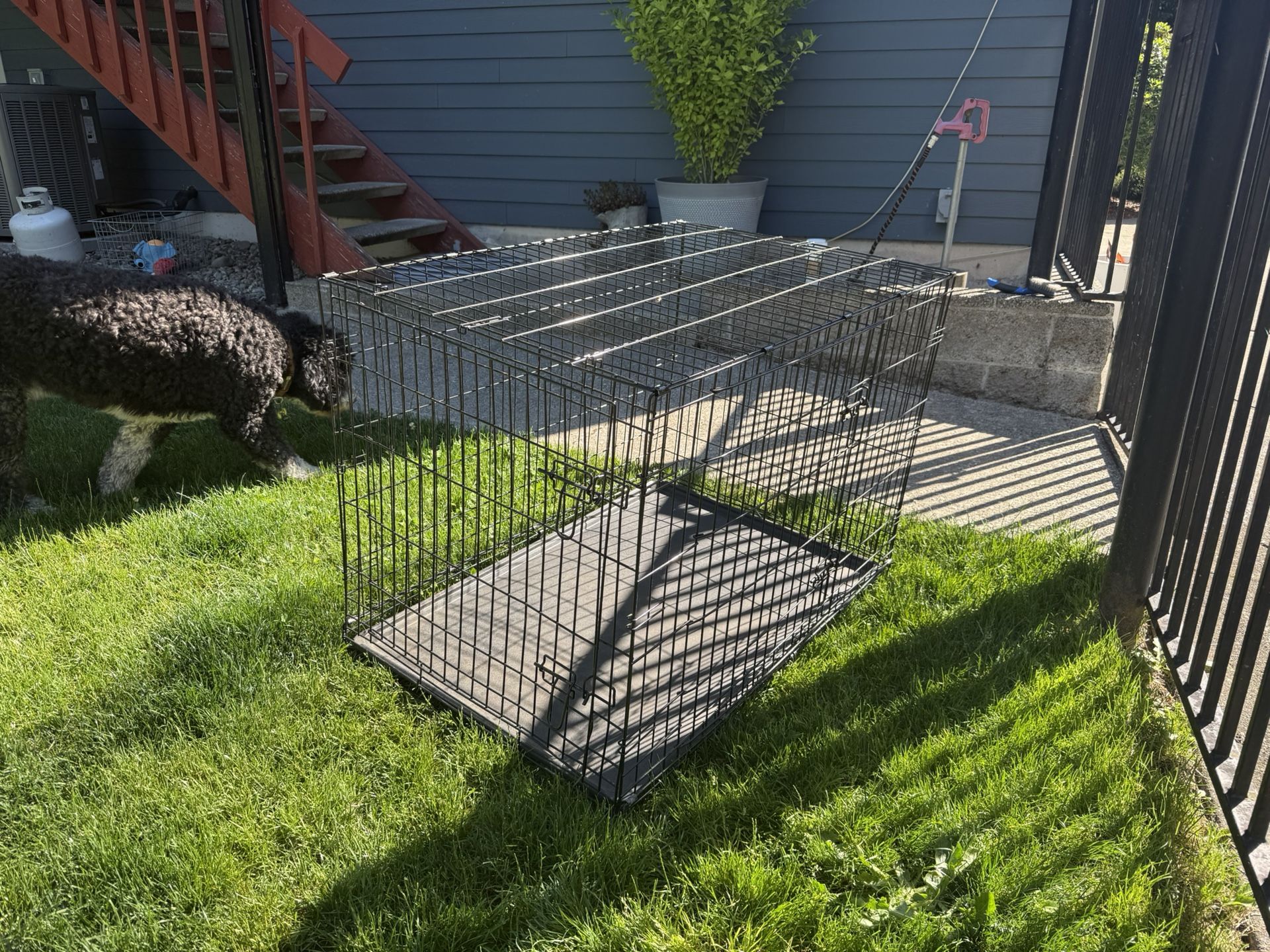 Dog Crate XL