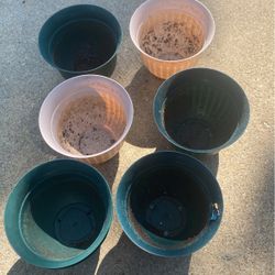 Small Pot Each 