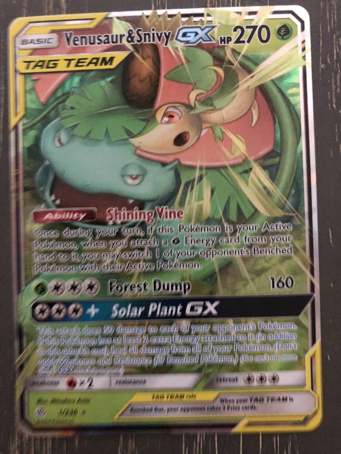 Pokémon Tag Team Venusaur And Snivy