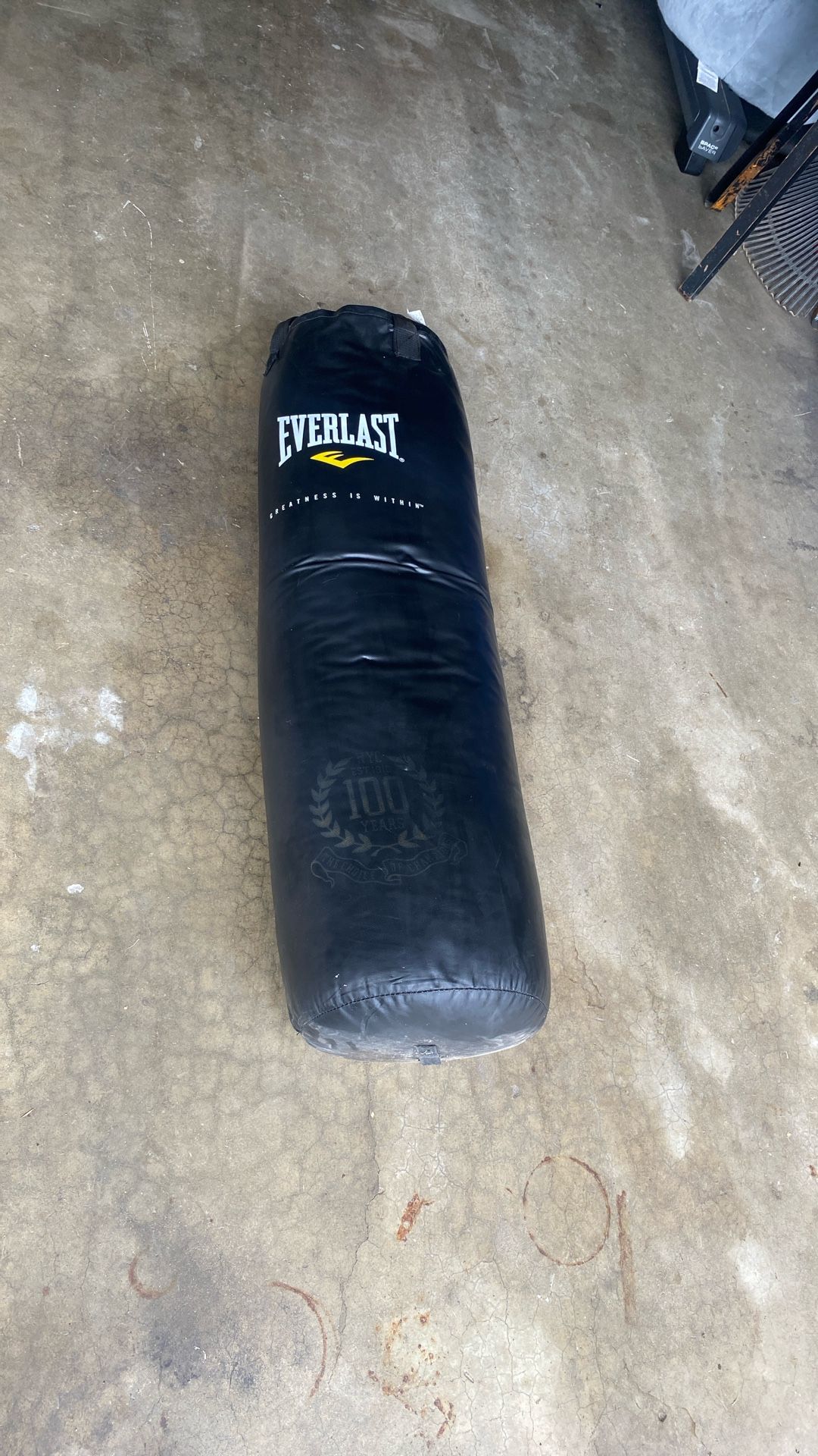Everlast Punching Bag 60$