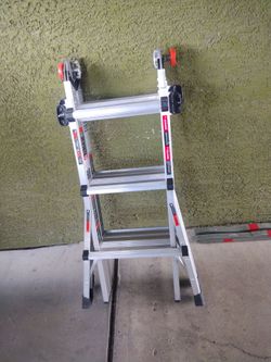Little giant multi 300 lbs