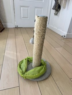 Cat Scratching Post & Play Tunnel Set – Used, Still in Good Shape