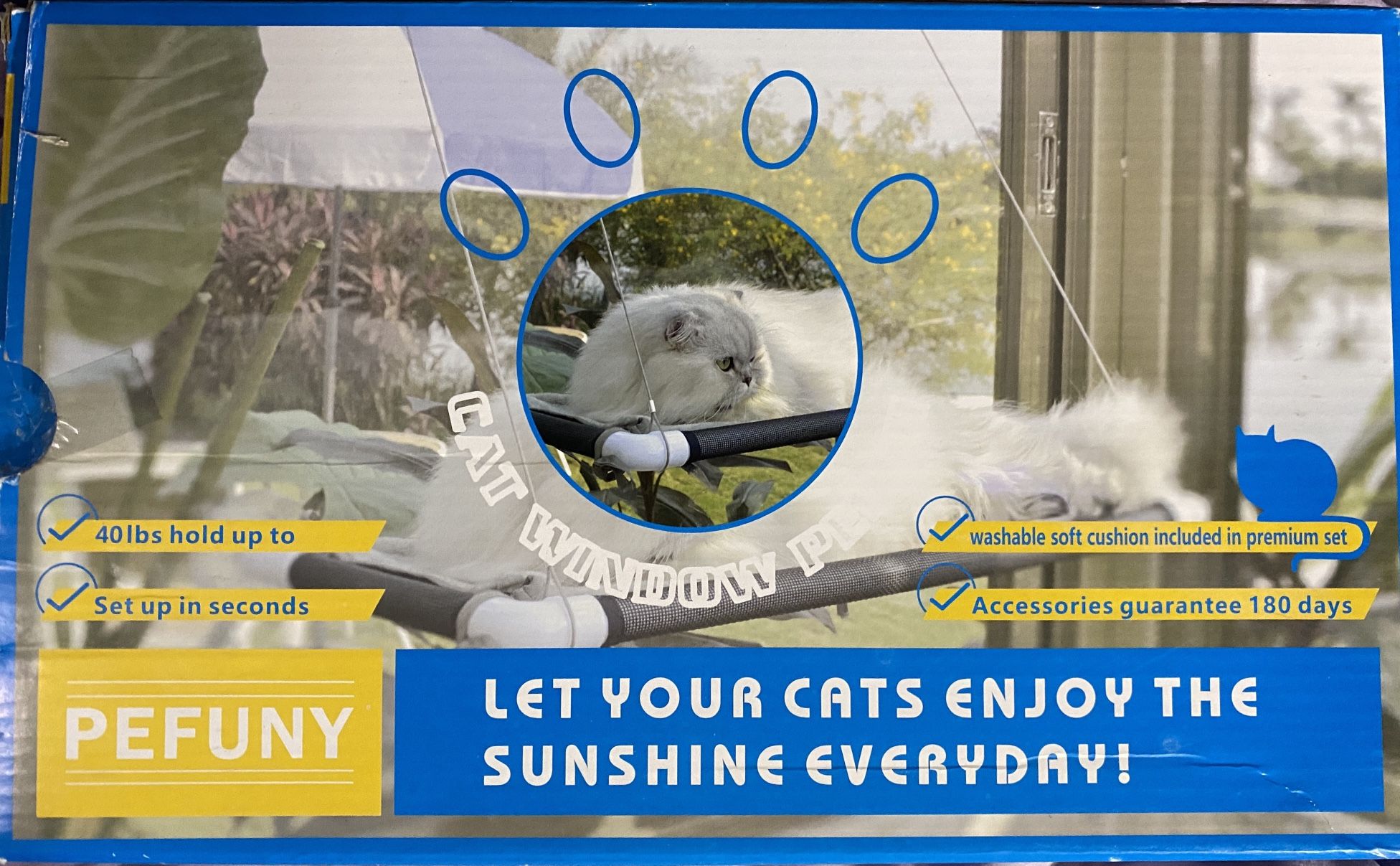 Cat Window Swing