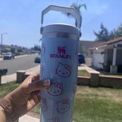 Stanley Kitty Cup