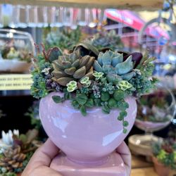 Heart You Succulent Design