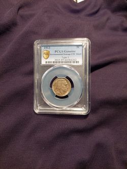 1913 PCGS  gold  Shield  Genuine Type 1 Buffalo Nickel 