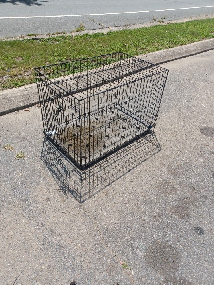 Dog Kennel