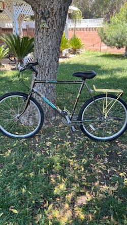 Pro cycle vintage refurbished runs great