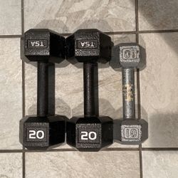 Dumbbells 