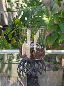 Morbid Collection Skull Glass and Brass Terrarium vintage