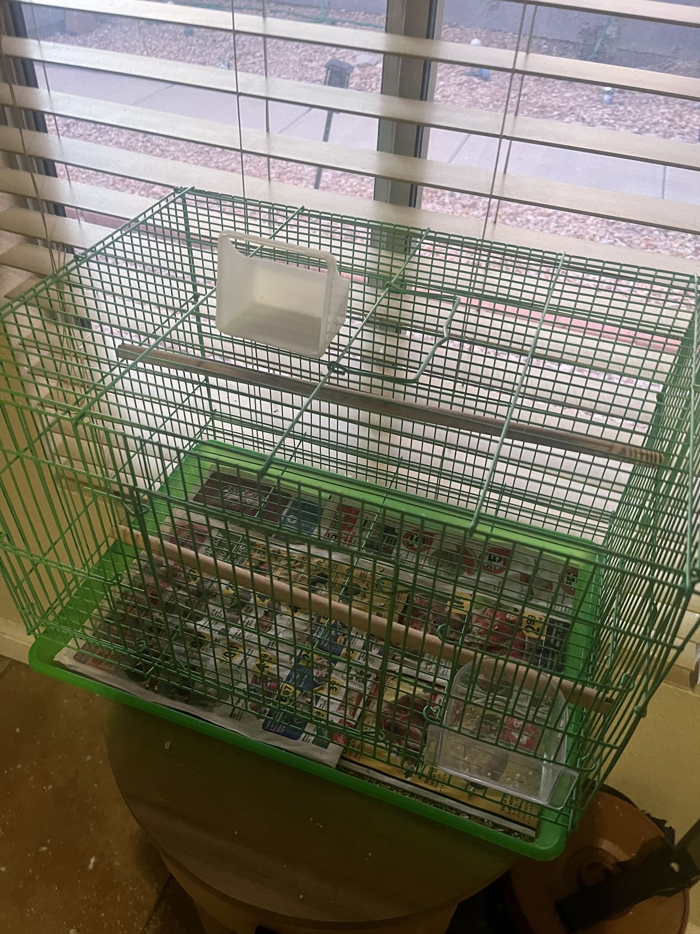 Bird Cage