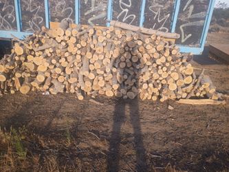 firewood a cord for $250