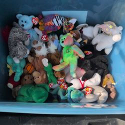 Beanie Babies For Sale 