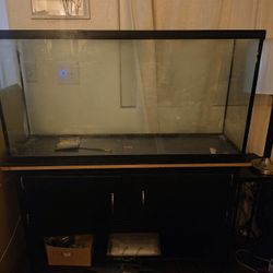 Fish Tank W Pump