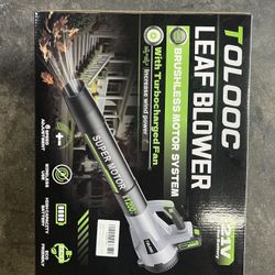 Cordless Leaf Blowe