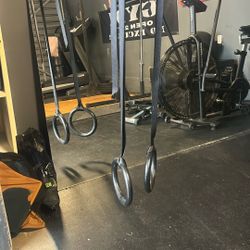 Gymnastics Rings