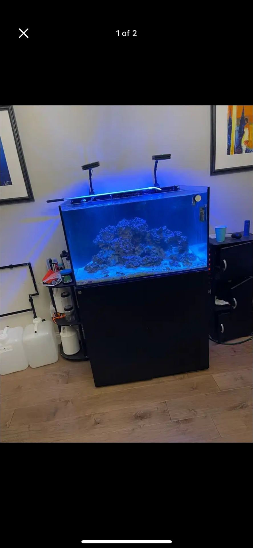 75 Gal Waterbox Aquarium with Stand,Lights, and all Equipment